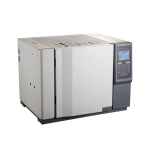 Gas Chromatography (GC)